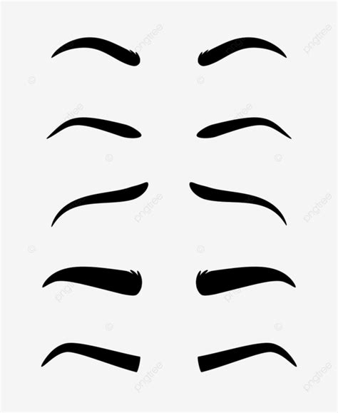 Eyebrow Clipart Transparent Background Eyebrows Eyebrow Set Vector