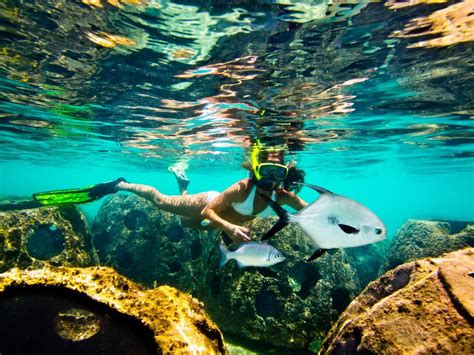 The Best Places To Shore Snorkel In Grand Cayman Desertdivers