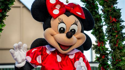 Fox News Woman In Minnie Mouse Costume Filmed Brawling With Las Vegas