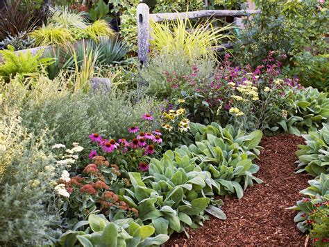 Add Color To Your Garden From Spring To Fall With Our Favorite Water