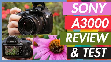 Sony Alpha A3000 201 Mp Mirrorless Digital Camera Plandetransformacion