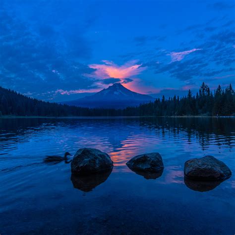 2048x2048 Sunset Reflection In Lake Ipad Air Wallpaper Hd Nature 4k