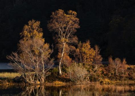 Through The Woods Gallery Simon Baxter Photography Landscape