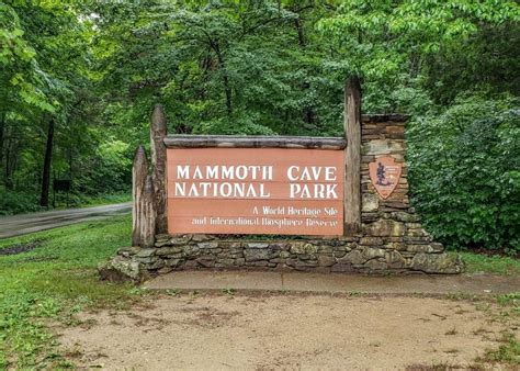 An Extensive Travel Guide To Visiting Mammoth Cave National Park This