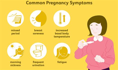 Pregnancy Signs And Symptoms