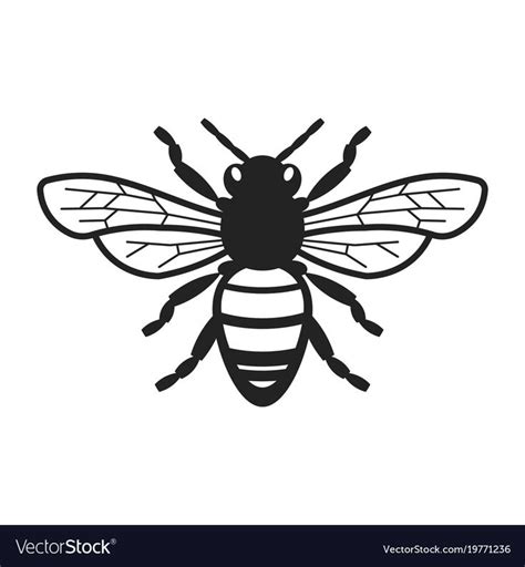A Bee On A White Background
