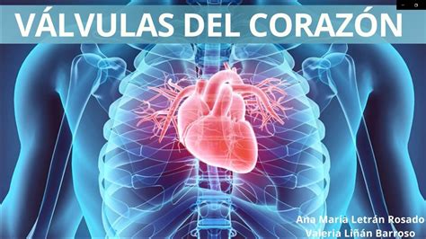 Válvulas Del Corazón Fisiología De Las Válvulas Cardíacas Youtube