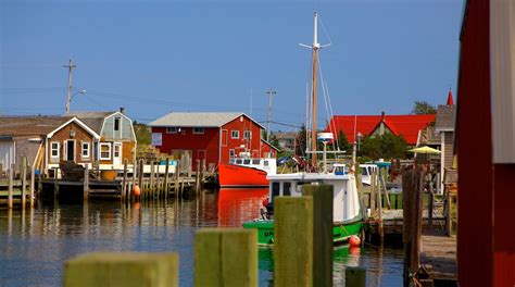Fishermans Cove In Eastern Passage Expedia