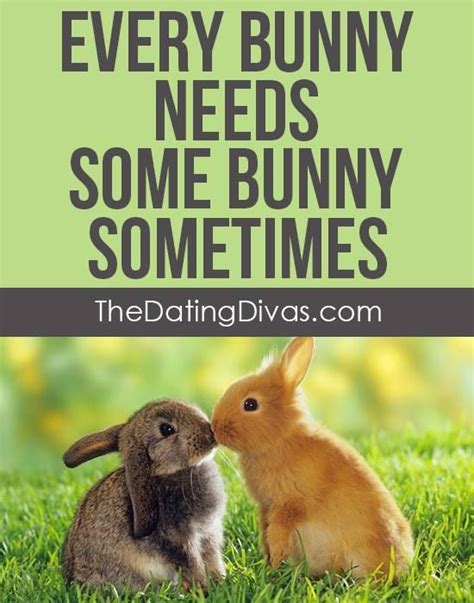 Find the best rabbit quotes, sayings and quotations on picturequotes.com. Quotes About Love: Every bunny needs some bunny sometimes ...