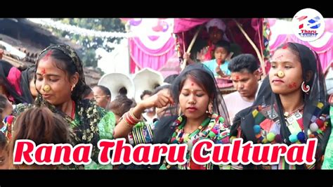 new rana tharu cultural wedding video 2020 2077 youtube