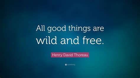 Hand drawn vector typography card with phrase and. Henry David Thoreau Quote: "All good things are wild and free." (22 wallpapers) - Quotefancy