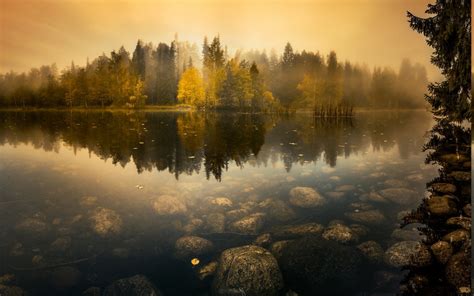 Nature Landscape Lake Mist Forest Sunrise Fall Water Reflection Trees