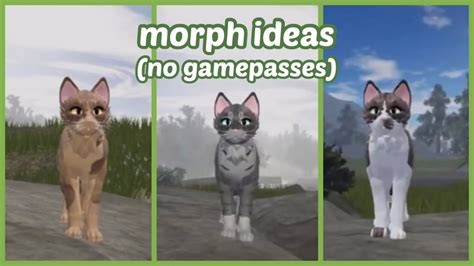 Roblox Warrior Cats Ultimate Edition Morph Ideas No Gamepasses Youtube