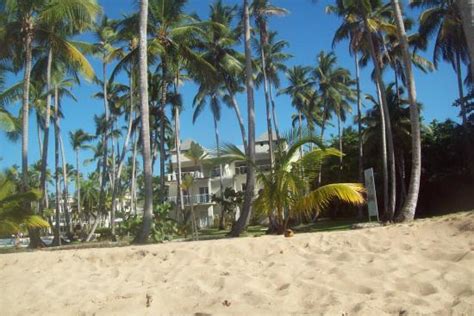 Coson Picture Of Playa Bonita Las Terrenas Tripadvisor