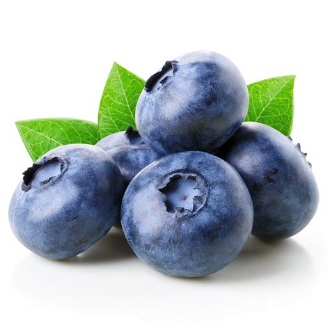 Blueberry Extract Vitajoy Biotech