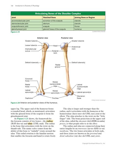 Introduction To Anatomy And Physiology 2nd Edition Page 144