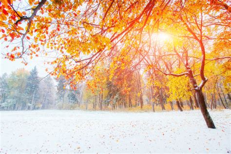 Best November Scenery Stock Photos Pictures And Royalty Free Images Istock
