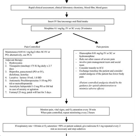 Flowchart Of Management Of Adults With Painful Crisis Iv Indicates