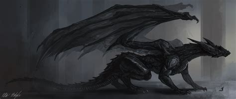 Black Dragon Wallpapers Top Free Black Dragon Backgrounds