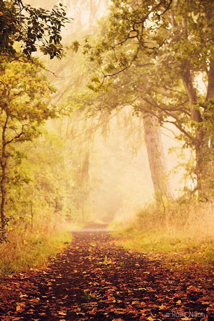 A Foggy Perthshire Autumnal Morning Click To Discover How Rosie Takes