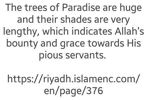 The Trees Of Paradise Are Huge And Their Shades Are Very Lengthy Which