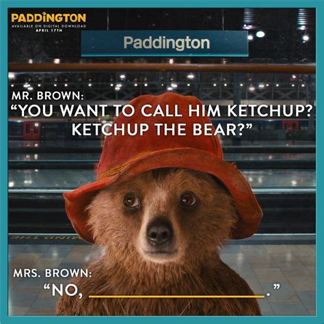 Paddington Bear Quotes Movie