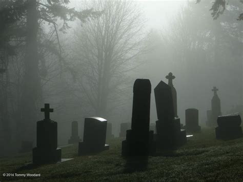 Foggy Cemetery In Portland Oregon In Old Cemeteries Gothic Art