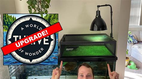 We Can Do Better Thrive Elevated Basking Loft Super Easy Diy Mod