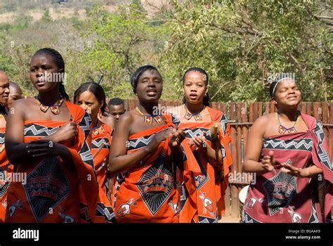 Swazi Dance Mantenga Cultural Village Swaziland Stock Photo Alamy