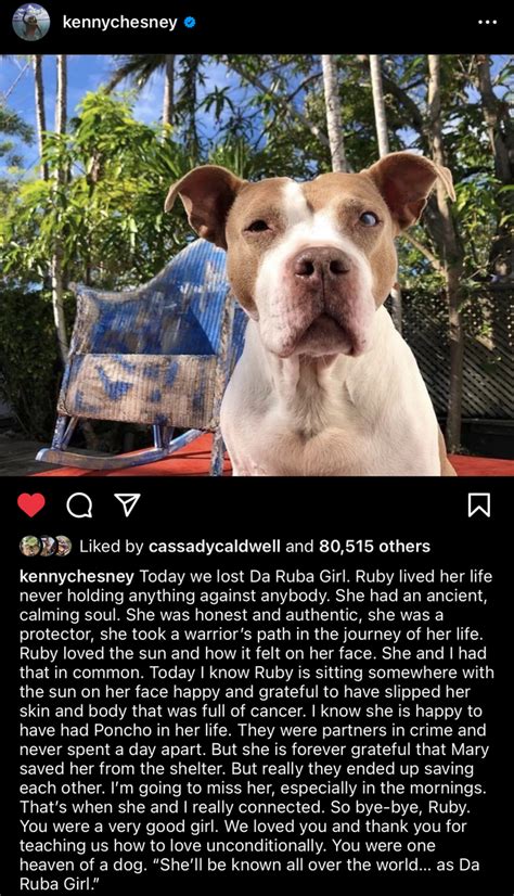 Stray Rescue Of St Louis Kenny Chesneys Da Ruba Girl