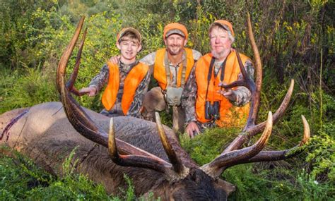 Kentucky Elk Hunting Montana Decoy