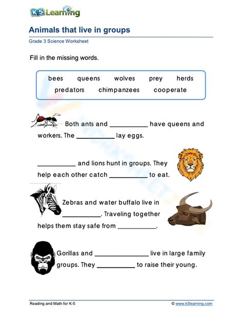 Animals That Live In Groups Worksheet