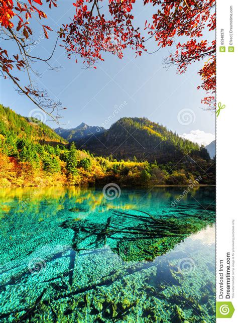 Amazing View Of The Five Flower Lake Among Colorful Fall Woods Stock