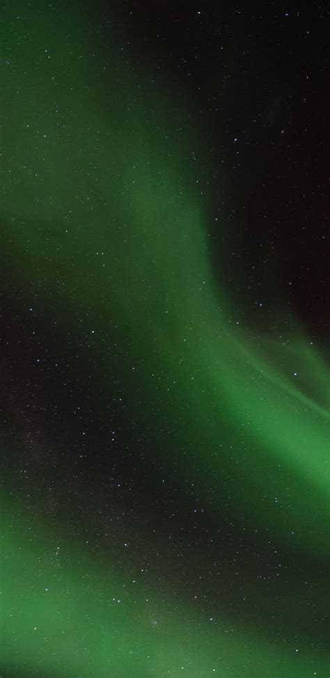 The Aurora Bore Is Glowing Green In The Night Sky