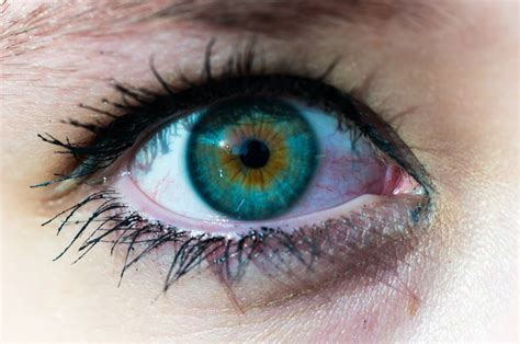 Free Images View Color Blue Eyebrow Close Up Human Body Face