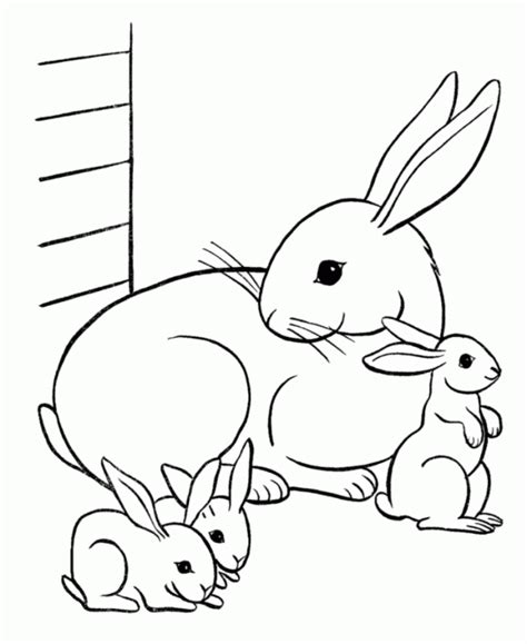 Bunny Rabbit Drawing Coloring Home