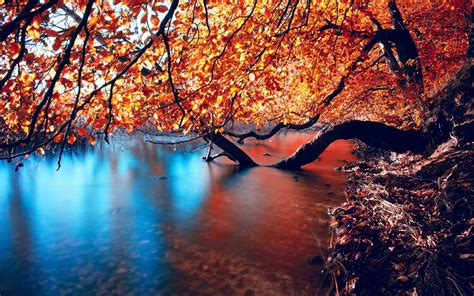 Autumn Water Wallpapers Top Free Autumn Water Backgrounds