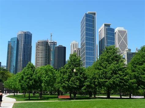 2560x1440 Wallpaper City Buildings And Green Trees Peakpx