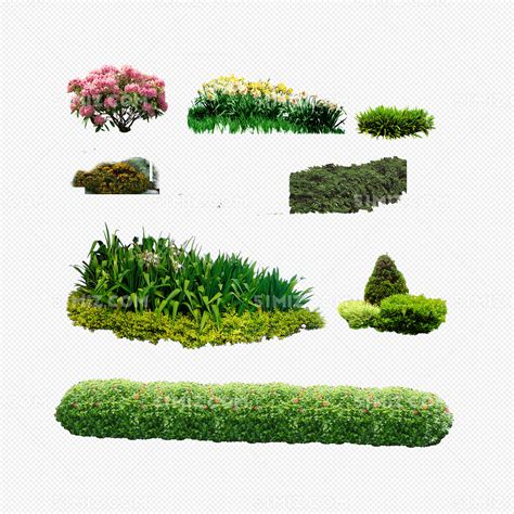 植物平面植物花草景观灌木平面树图片素材免费下载 觅知网