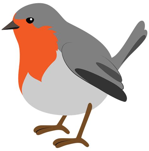 Robin Outline Clipart Png Vector Psd And Clipart With