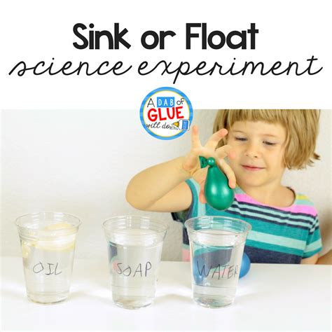 Sink Or Float Science Experiment Using Balloons