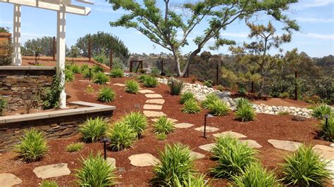 Low Maintenance Xeriscape Front Yard A Joyful And Sustainable Solution