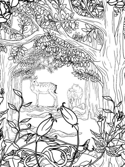 Forest coloring pages are perfect for the young outdoors man. Zentagle Forest coloring pages for Adults