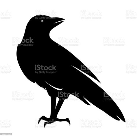 Raven Bird Vector Black Silhouette Stock Illustration Download Image