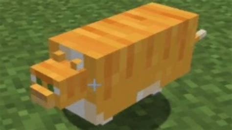 Thicc Minecraft Cat Will Be Your Friend Lasts For A Week Before It Implodes 50 Speed 100