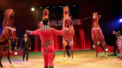 Zirkus Charles Knie In Göttingen Mit Vielen Tieren Göttingen