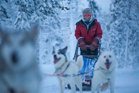 10 Incredible Winter Adventures For Your Trip To Arctic Europe