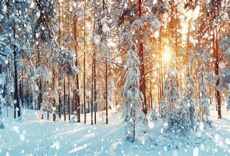 Laeacco Dreamy Winter Forest Backdrop 7x5ft Vinyl Photography