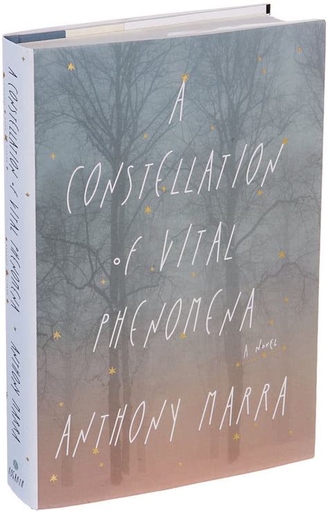 ‘a Constellation Of Vital Phenomena By Anthony Marra The New York Times