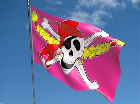 pirate girl flag buy pirate girl flag north west flags